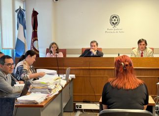 JIMENA SALAS II: UNA TESTIGO VINCULÓ A JAVIER SAAVEDRA CON LA SUSTRACCIÓN DE UNA COMPUTADORA Y UNA TARJETA DE CRÉDITO