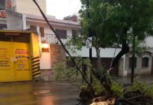 LA MUNICIPALIDAD INTERVINO EN MÁS DE 30 INCIDENTES TRAS LA TORMENTA