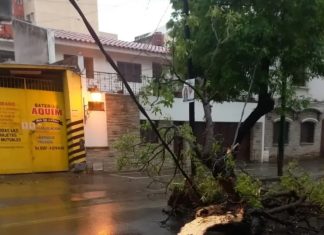 LA MUNICIPALIDAD INTERVINO EN MÁS DE 30 INCIDENTES TRAS LA TORMENTA