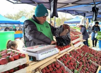 PRECIOS IMPERDIBLES EN UNA NUEVA EDICIÓN DE “EL MERCADO EN TU BARRIO” EN LA UNSA