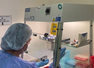 JIMENA SALAS II: TESTIMONIO CLAVE ESTE VIERNES, DE LA GENETISTA DEL CIF