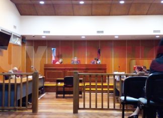 JIMENA SALAS II: LA BANDA CRIMINAL QUE CAYÓ POR LA “TEORÍA DE LA ELEVACIÓN DEL RIESGO”