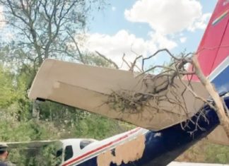 SE ESTRELLÓ UNA AVIONETA NARCO CON MATRÍCULA DE BOLIVIA EN UN CAMPO DE SALTA