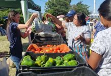 “EL MERCADO EN TU BARRIO” SE INSTALARÁ EN ROBERTO ROMERO, ZONA OESTE