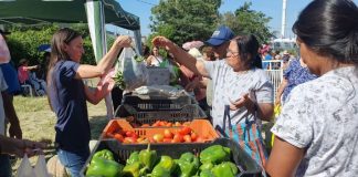 “EL MERCADO EN TU BARRIO” SE INSTALARÁ EN ROBERTO ROMERO, ZONA OESTE
