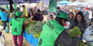 “EL MERCADO EN TU BARRIO” VUELVE A LA ZONA OESTE CON PRECIOS IMPERDIBLES