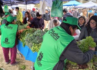 “EL MERCADO EN TU BARRIO” VUELVE A LA ZONA OESTE CON PRECIOS IMPERDIBLES