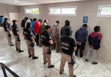 RUTA DEL ABIGEATO: DOCE DETENIDOS EN DIECISÉIS ALLANAMIENTOS