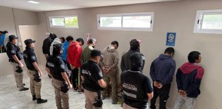 RUTA DEL ABIGEATO: DOCE DETENIDOS EN DIECISÉIS ALLANAMIENTOS