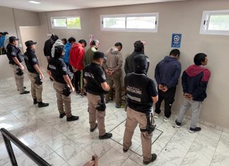 RUTA DEL ABIGEATO: DOCE DETENIDOS EN DIECISÉIS ALLANAMIENTOS