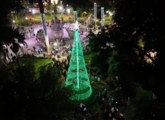 FUE ENCENDIDO EL TRADICIONAL ARBOLITO NAVIDEÑO EN LA PLAZA 9 DE JULIO