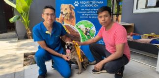 BIENESTAR ANIMAL REGISTRÓ MÁS DE 110 MIL PRESTACIONES Y UN RÉCORD DE ADOPCIONES
