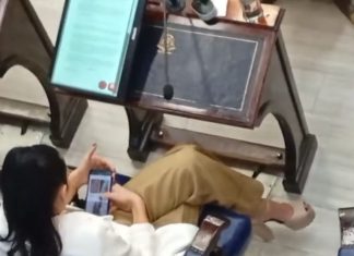 LA DIPUTADA YANINA INSFRÁN MIRA ROPA MIENTRAS SE VOTA EL PRESUPUESTO