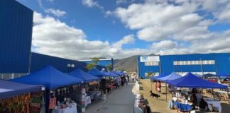 LA FÁBRICA MUNICIPAL CIERRA EL AÑO CON UNA GRAN FERIA NAVIDEÑA EN LA ZONA SUDESTE