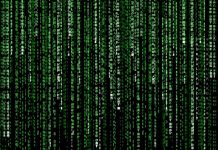 2025: EL AÑO QUE VIVIMOS EN LA MATRIX