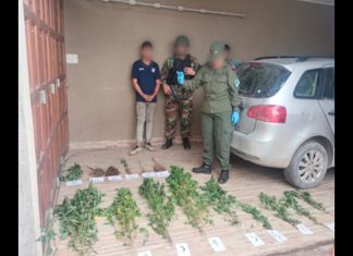 CONDENAS DE HASTA 13 AÑOS DE PRISIÓN Y DECOMISOS DE CUATRO INMUEBLES Y 14 VEHÍCULOS PARA UN CLAN FAMILIAR NARCOCRIMINAL