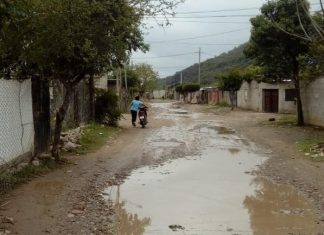 FIN DE AÑO SANGRIENTO: MATÓ A SU HERMANO EN BARRIO JUAN MANUEL DE ROSAS