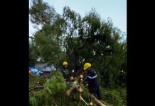 LA MUNICIPALIDAD DESPLIEGA EQUIPOS EN DISTINTAS ZONAS DE LA CIUDAD ANTE LA TORMENTA