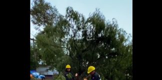 LA MUNICIPALIDAD DESPLIEGA EQUIPOS EN DISTINTAS ZONAS DE LA CIUDAD ANTE LA TORMENTA