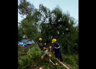 LA MUNICIPALIDAD DESPLIEGA EQUIPOS EN DISTINTAS ZONAS DE LA CIUDAD ANTE LA TORMENTA