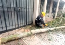 LA MUNICIPALIDAD REFUERZA OPERATIVOS TRAS EL FUERTE TEMPORAL EN LA CIUDAD