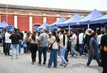 “SALTA EMPRENDE” VUELVE CON UNA JORNADA CLAVE PARA POTENCIAR IDEAS Y NEGOCIOS