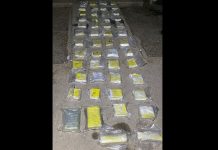 IMPUTAN Y DICTAN LA PRISIÓN PREVENTIVA DE DOS AUTOMOVILISTAS POR EL TRANSPORTE DE 28 KILOS DE COCAÍNA