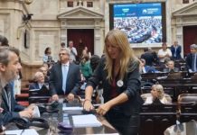 CONGRESO DESQUICIADO: “SOCORRO, QUINTO AÑO” (CARIGNANO VS LEMOINE)