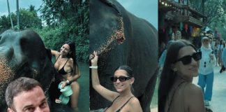 MADILE: LIVIN’ LA VIDA LOCA