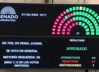 SENADO: LA EDAD DE IMPUTABILIDAD BAJA A 14 AÑOS