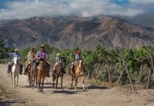 SALTA RECIBIÓ 356.000 TURISTAS DURANTE ENERO, CON PICOS DE OCUPACIÓN EN DESTINOS DEL INTERIOR