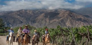 SALTA RECIBIÓ 356.000 TURISTAS DURANTE ENERO, CON PICOS DE OCUPACIÓN EN DESTINOS DEL INTERIOR