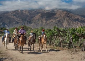 SALTA RECIBIÓ 356.000 TURISTAS DURANTE ENERO, CON PICOS DE OCUPACIÓN EN DESTINOS DEL INTERIOR