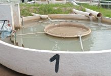 VERIFICAN TRABAJOS EN LA PLANTA POTABILIZADORA DE AGUAS BLANCAS