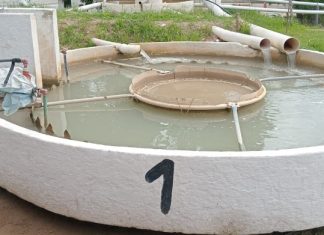 VERIFICAN TRABAJOS EN LA PLANTA POTABILIZADORA DE AGUAS BLANCAS