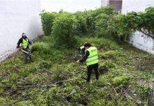 EN BARRIO LOTEO LAS MARÍAS SE DESMALEZÓ Y LIMPIÓ UN TERRENO EN MAL ESTADO