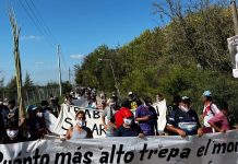 UN EDITORIAL DE CLARÍN TILDA DE “LASTRE” PARA EL GOBIERNO A ADORNI