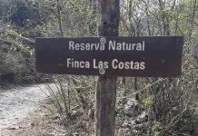RESERVA FINCA LAS COSTAS: EL MINISTERIO PÚBLICO FISCAL INFORMA SOBRE EL AMPARO COLECTIVO EN TRÁMITE Y LA VIGENCIA DE MEDIDAS DE PROTECCIÓN AMBIENTAL