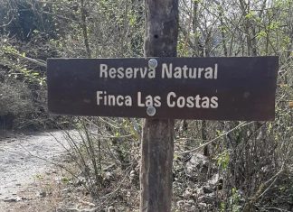 RESERVA FINCA LAS COSTAS: EL MINISTERIO PÚBLICO FISCAL INFORMA SOBRE EL AMPARO COLECTIVO EN TRÁMITE Y LA VIGENCIA DE MEDIDAS DE PROTECCIÓN AMBIENTAL