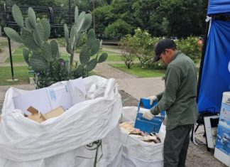 SE VIENE EL 5° RECICLATÓN DE LA CIUDAD
