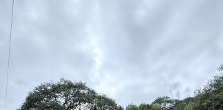 TRABAJOS DE MANTENIMIENTO Y MEJORAS SOBRE LA RUTA NACIONAL N°9