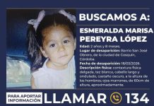 ALERTA SOFÍA POR ESMERALDA MARISA PEREYRA LÓPEZ, DE 2 AÑOS, DESAPARECIDA EN LA PROVINCIA DE CÓRDOBA