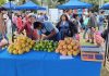 SE SUSPENDE “EL MERCADO EN TU BARRIO” EN SANTA LUCÍA