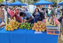 SE SUSPENDE “EL MERCADO EN TU BARRIO” EN SANTA LUCÍA