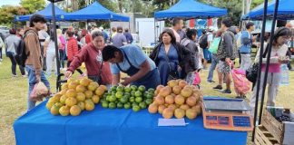 SE SUSPENDE “EL MERCADO EN TU BARRIO” EN SANTA LUCÍA