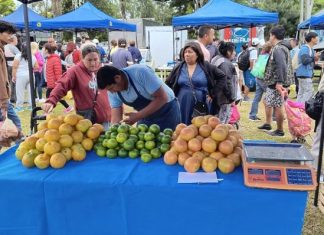 SE SUSPENDE “EL MERCADO EN TU BARRIO” EN SANTA LUCÍA