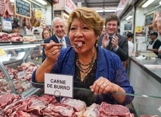 “CARNE DE BURRO COMO ‘PLATO FINO’: LA POLÉMICA DEFENSA DE VILMA BEDIA EN MEDIO DE LA CRISIS”