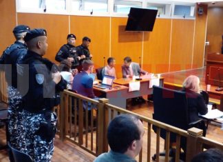 FEMICIDIO EN EL TIPAL: CRUCES FEROCES ENTRE DEFENSA Y FISCALÍA, POLÉMICAS DECLARACIONES CON PERITOS Y UN MORBO INUSITADO