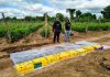ORÁN: IMPUTAN A LOS LÍDERES Y UN INTEGRANTE DE UNA ORGANIZACIÓN NARCOCRIMINAL QUE ARRENDABA FINCAS AGRÍCOLAS PARA ACOPIAR COCAÍNA
