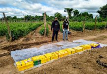 ORÁN: IMPUTAN A LOS LÍDERES Y UN INTEGRANTE DE UNA ORGANIZACIÓN NARCOCRIMINAL QUE ARRENDABA FINCAS AGRÍCOLAS PARA ACOPIAR COCAÍNA